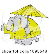 Poster, Art Print Of Elephant In A Rain Coat Under An Umbrella