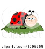 Clipart Happy Smiling Ladybug On A Leaf Royalty Free Vector Illustration