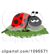 Clipart Happy Grinning Ladybug On A Leaf Royalty Free Vector Illustration