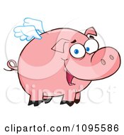 Winged Pig Smiling And Flying