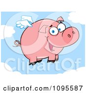 Winged Pig Smiling And Flying In The Sky