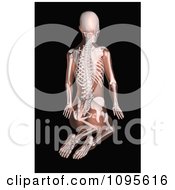 Clipart 3d Female Medical Skeleton Kneeling In A Yoga Position Royalty Free CGI Illustration