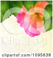 Clipart Colorful Hibiscus And Leaves With Flares On Beige Grunge Royalty Free Vector Illustration