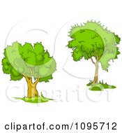 Poster, Art Print Of Two Mature Trees 3