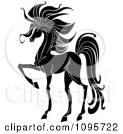 Elegant Black And White Prancing Foal Horse