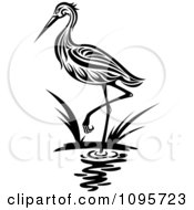 Poster, Art Print Of Black And White Wading Heron