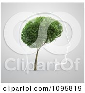 Clipart 3d Head With A Tree Brain Royalty Free CGI Illustration