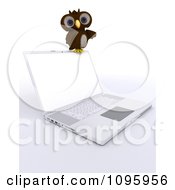 3d Brown Owl Resting On A Laptop