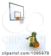 Poster, Art Print Of 3d Tortoise Playing Solo Basketball