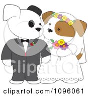 Two Wedding Puppies Gazing At Each Other During Their Marriage Ceremony