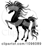 Poster, Art Print Of Elegant Black And White Prancing Foal Horse 2