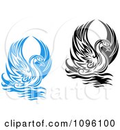 Poster, Art Print Of Black And White And Blue Graceful Swans Raising Their Wings