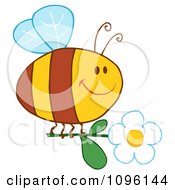Poster, Art Print Of Happy Bee Flying With A White Daisy Flower