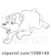 Poster, Art Print Of Outlined Startled Bear Running