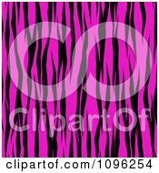Poster, Art Print Of Background Pattern Of Zebra Stripes On Neon Pink