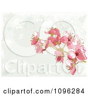 Poster, Art Print Of Background Of Pink Blossoms And Gray Grunge