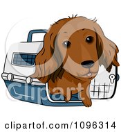 Poster, Art Print Of Happy Long Haired Dachshund Dog In A Pet Carrie