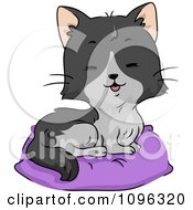 Clipart Cute Tuxedo Cat Sitting On A Pillow Bed Royalty Free Vector Illustration