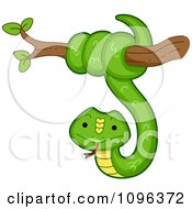 Poster, Art Print Of Happy Green Snake Coiled Around A Tree Branch