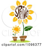 Poster, Art Print Of The Word Spring In A Sunflower Center