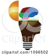 Poster, Art Print Of Colorful Brain Over A Grassy Open Light Bulb Head