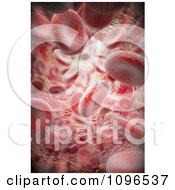 3d Blood Cells In A Human Vessel Artery