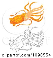 Poster, Art Print Of Orange And Black And White Squid