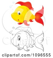 Poster, Art Print Of Happy Orange And Red And Black And White Fish