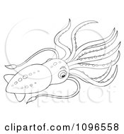 Poster, Art Print Of Black And White Squid