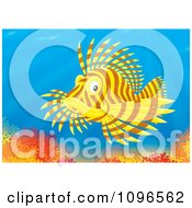 Poster, Art Print Of Brown And Yellow Lion Fish Over A Coral Reef