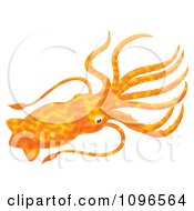 Poster, Art Print Of Orange Squid