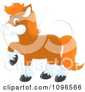 Poster, Art Print Of Brown Pony With Orange Hair