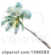 Poster, Art Print Of 3d Palm Tree