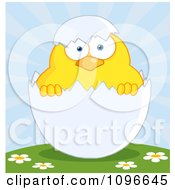 Poster, Art Print Of Yellow Easter Chick In A Shell On A Hill