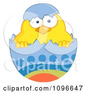 Poster, Art Print Of Yellow Easter Chick In A Blue Shell