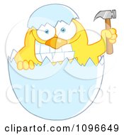 Poster, Art Print Of Yellow Easter Chick Holding A Hammer In A Shell