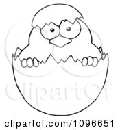 Poster, Art Print Of Outlined Easter Chick In A Shell