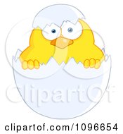 Poster, Art Print Of Yellow Easter Chick In A Shell