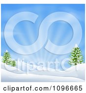 Poster, Art Print Of Snowy Christmas Winter Background With Evergreens And Sunshine