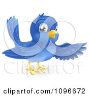 Poster, Art Print Of Friendly Bluebird Presenting Or Pointing With A Wing
