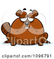 Poster, Art Print Of Depressed Chubby Beaver