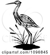 Poster, Art Print Of Black And White Crane Wading By Cattails