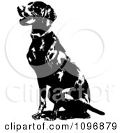 Clipart Black And White Sitting German Short Haired Pointer Dog Royalty Free Vector Illustration