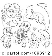 Poster, Art Print Of Outlined Cute Crab Dolphin Squid Seahorse And Starfish