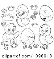 Poster, Art Print Of Outlined Hatching Spring Chicks Flowers And Eggs