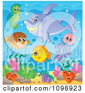 Poster, Art Print Of Shark And Cute Sea Creatures Over Corals
