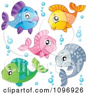 Happy Colorful Fish And Bubbles