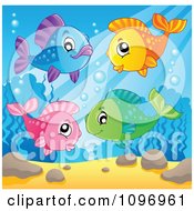 Poster, Art Print Of Happy Colorful Fish Underwater