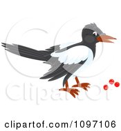 Poster, Art Print Of Magpie Eating Red Berries