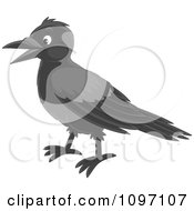 Poster, Art Print Of Happy Hooded Crow